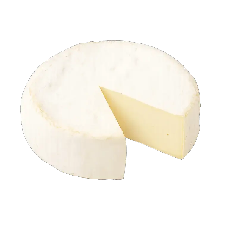 Dairy & Cheese