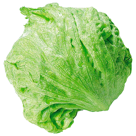 Fresh Iceberg Lettuce — Crisp Head Lettuce  1 piece