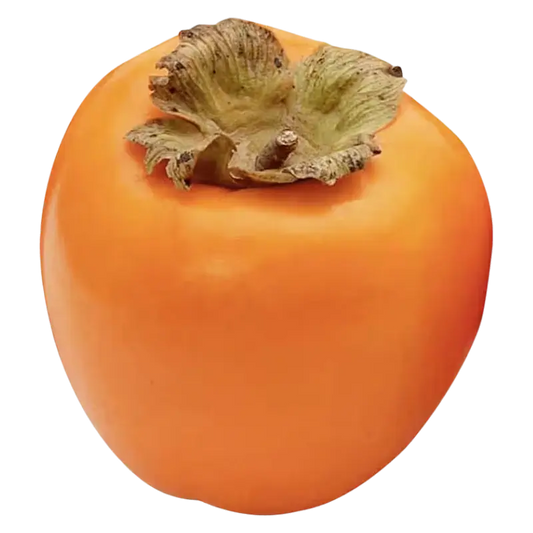 Fresh Persimmon — Sweet Exotic Fruit 1 unit