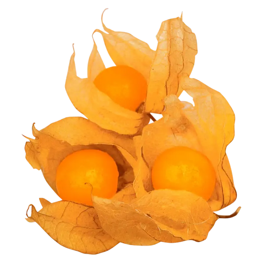 Fresh Physalis — Golden Berry Exotic Fruit 100gr